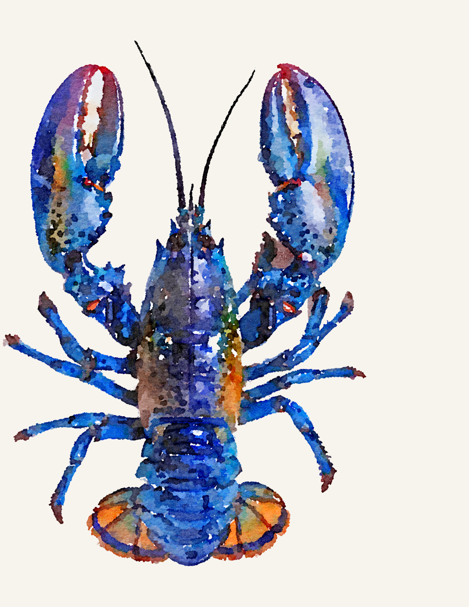 Blue Lobster Book Club